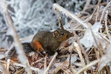 开放世界冒险《巨神狩猎》脱离抢先体验正式发行